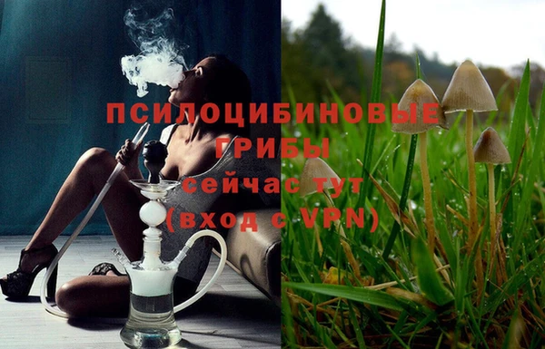 шишки Алзамай