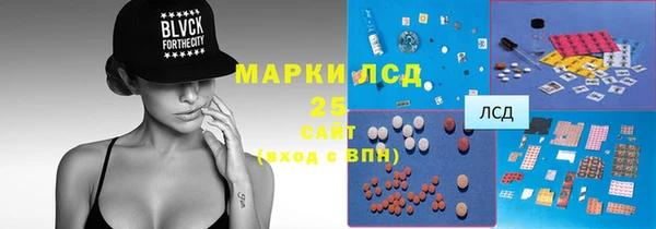 шишки Алзамай