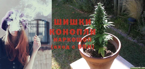 шишки Алзамай