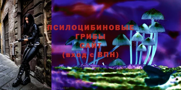 винт Алексин