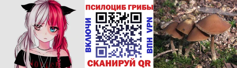 что такое наркотик  Волжский  mega зеркало  Псилоцибиновые грибы Cubensis 