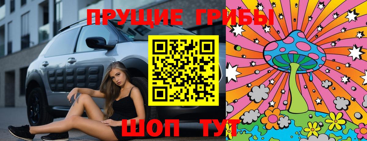 Волжский  Галлюциногенные грибы Psilocybine cubensis  купить  сайты  Вход с VPN 
